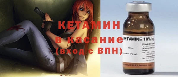 сатива Абинск