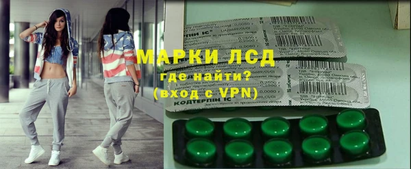 сатива Абинск