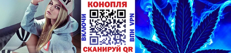 где купить наркоту  mega сайт  Канабис планчик  Камень-на-Оби 